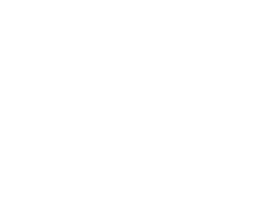 Roy Store Logo